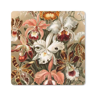 Produktbild von MuchoWow® Mauspad Mousepad Orchidee - Ernst Haeckel 20x20 cm - Mousepads - Maus Mat - Pad - Mausunterlage - Desk Mat - Bureauartikeln