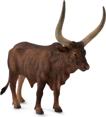 Image de Taureau Ankole-Watusi L - figure animale