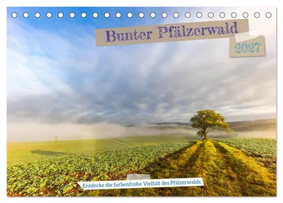 Produktbild von Bunter Pfälzerwald (Tischkalender 2027 DIN A5 quer), CALVENDO Monatskalender