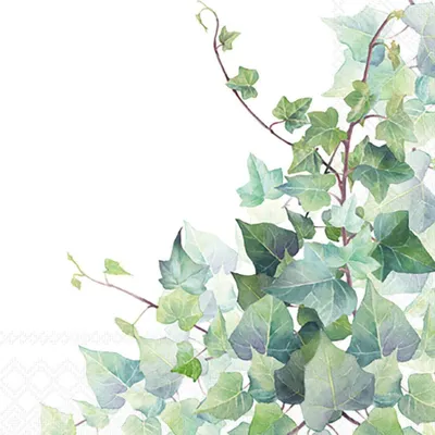 Produktbild von Servietten 25x25 cm - Hedera white