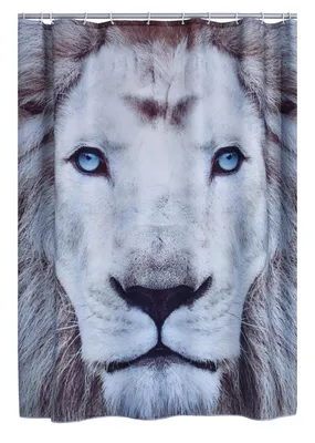Produktbild von Ridder Duschvorhang Textil Lion 180x200 cm bunt 4008300
