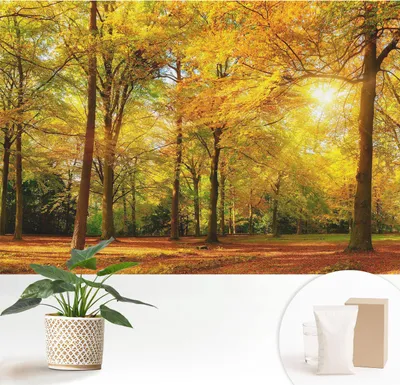 Produktbild von Fototapete selbstklebend - 152x104 cm - Tapete - Wandtapete - Wandbilder - Klebefolie - Dekofolie - Tapete Folie - Wand - Dekoration - Wohnzimmer - Goldene Blätter