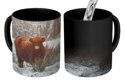 Obrázek produktu pro MuchoWow® Kouzelný pohár Skotský horal - Sníh - Les 350 ml Barva měnící se pohár Dárkový nápad - foto hrnek