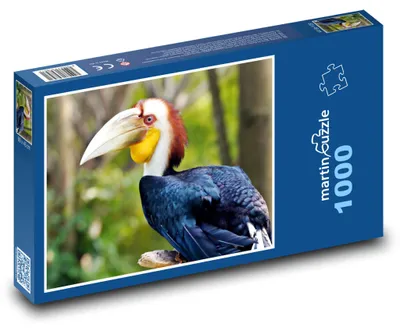 Obrázek produktu pro martinpuzzle - Puzzle 1000 - Pták dvojzoborožec