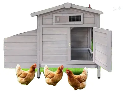 Productafbeelding van Kippenhuis, gemaakt van hout, verhoogd ontwerp, eenvoudige toegang voor reiniging, geschikt voor kippen, veilig tegen roofdieren