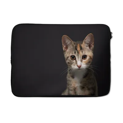 Produktbild von MuchoWow® Laptop Hülle 14 ZollKatze - Schwarz - Porträt Laptoptasche - Laptoptasche - Stoßsicher - Schutzhaube