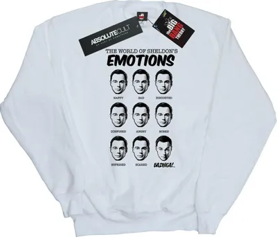 Produktbild von The Big Bang Theory - Sweatshirt für Herren BI744 (XXL) (Weiß)
