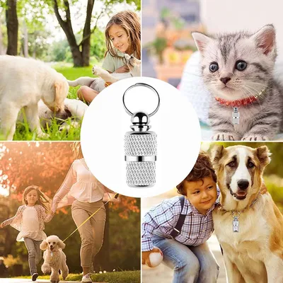 Immagine prodotto di 6 pezzi di etichette personalizzate per cani e gatti con portachiavi e targhette per collare per cani - accessori impermeabili per animali domestici