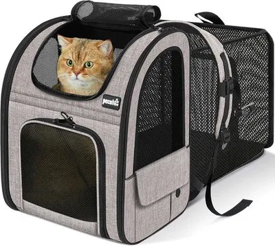 Productafbeelding van Uitbreidbare Huisdier Rugzak voor Katten en Honden, Reistas tot 8 kg