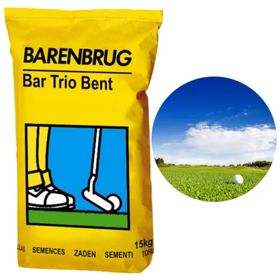 Image de Graines de gazon BARENBRUG Trio Bent – 15 kg – Professionnel