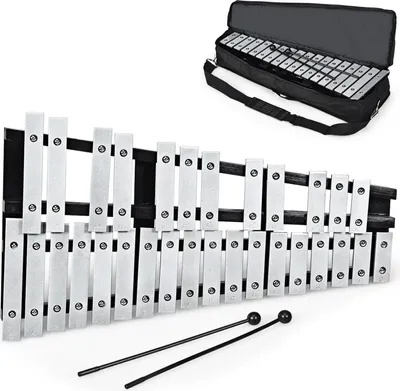 Immagine prodotto di Glockenspiel Xilofono - Strumento musicale - 30 note - 2 bacchette - Borsa per il trasporto - Per bambini e adulti - Argento