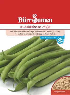 Produktbild von Buschbohne Maja | Buschbohnensamen von Dürr Samen