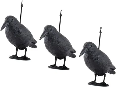 Produktbild von 3er-Set Taubenschreck Rabe Kunststoff Taubenabwehr 34*15cm