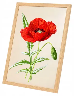 Zdjęcie produktu dla Ramka na zdjęcia drewniana jasna z podpórka + haczyk format A4 21x29,5 MDF