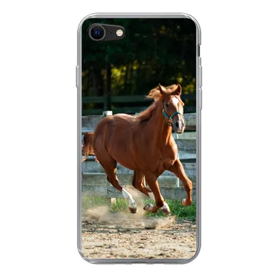 Produktbild von MuchoWow® Handyhülle Schutzhülle Hülle für iPhone SE 2020 Pferd - Licht - Sand Silikon Softcase Handy Hülle - Kartenbesitzer
