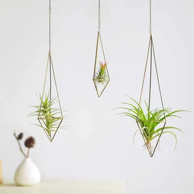 Productafbeelding van Famanu plantenhouder set van 3 - Metalen plantenhangers in Himmeli-stijl - Brons