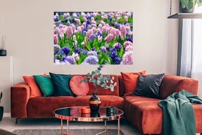 Produktbild von MuchoWow® Poster Hyazinthe - Farben - Frühling 120x80 cm - Bilder