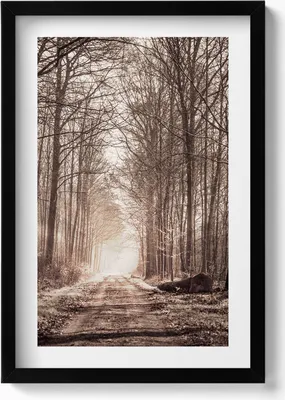 Produktbild von Waldweg in Sepia-Farben– Wandbild mit Rahmen – Gerahmtes Bild  – Wanddekoration – 40x60 cm –  Schwarz