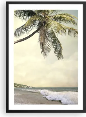 Produktbild von Gerahmtes Poster - Schwarzer Rahmen - Palme Strand Insel - 50x70 cm - Wand Bild - Wanddeko - Wandbilder - Kunstposter - Wandposter - Bilderrahmen - Bilder - Kunstdruck - Wandbild - P2BPA50x70-4154
