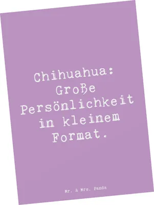 Produktbild von Mr. & Mrs. Panda Postkarte Spruch Chihuahua Persönlichkeit - Lavendeltraum - Geschenk, Hunderasse, lebhafte Hunde, bildkarte, Grußkarte, Ansichtskarte, Hundeliebhaber