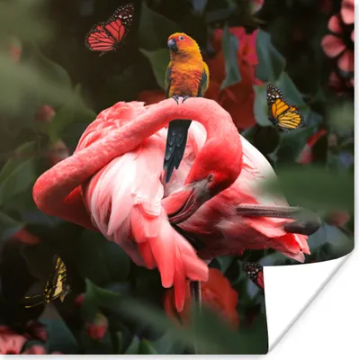 Produktbild von MuchoWow® Poster Flamingo - Tiere - Dschungel 75x75 cm - Wand Dekoration