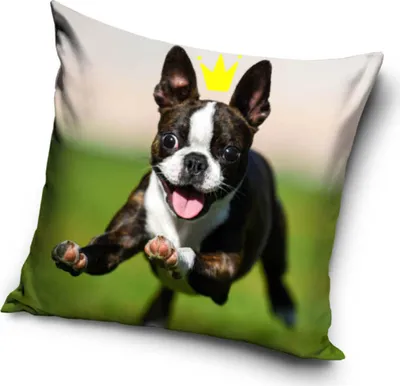 Obrázok produktu pre Obal na vankúš Boston Terrier Princess