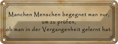 Produktbild von vianmo Blechschild 10x27 cm manche Menschen begegnet man nur Spruch Zitat
