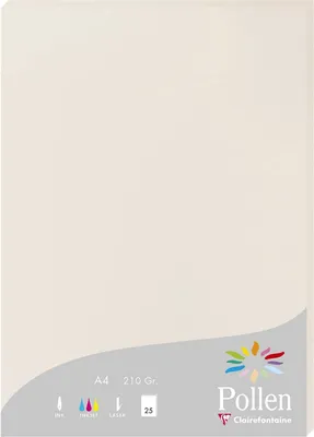 Produktbild von Clairefontaine Pollen Papier Hellgrau 210g/m² DIN-A4 25 Blatt