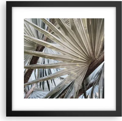 Produktbild von Gerahmtes Poster - Schwarzer Rahmen - Blatt Palme Natur - 30x30 cm - Wand Bild - Wanddeko - Wandbilder - Kunstposter - Wandposter - Bilderrahmen - Bilder - Kunstdruck - P2BAC30x30-5056