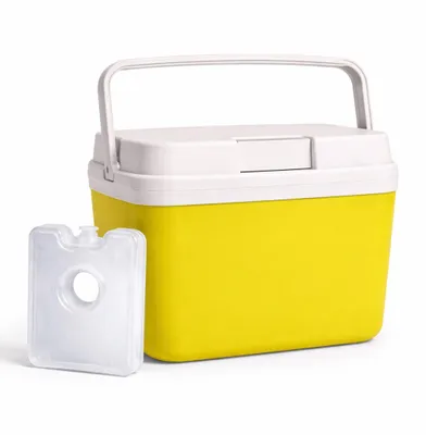 Produktbild von Premium Kühlbox 15L mit Kühlakku & Kühlelement – Kühltasche für Camping, Strand, Picknick & Reisen (Grün)