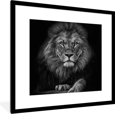Produktbild von MuchoWow® Gerahmtes Poster Löwe - Tiere - Schwarz - Weiß 40x40 cm - Poster mit Schwarzem Bilderrahmen Wandposter Rahmen Foto Bilder - Poster - Plakat im Rahmen