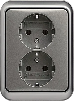 Produktbild von Busch-Jaeger SCHUKO-Doppelsteckdose Busch-Jaeger 20-02 EUJ-20 Platin, 1 Stk.