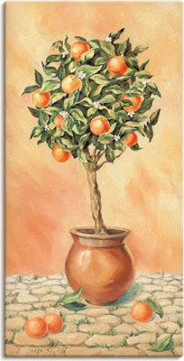 Produktbild von ARTland Leinwandbild Orangenbaum I Größe: 30x60 cm