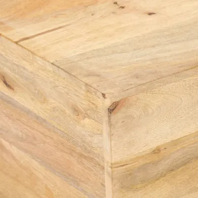 Zdjęcie produktu dla VidaXL 320387, 660 mm, 660 mm, 300 mm, 1 szt.