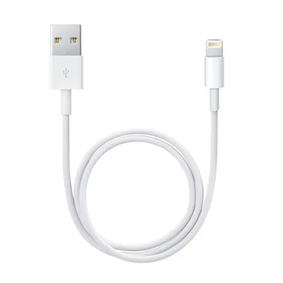 Produktbild von Apple Lightning / USB 0,5 m Weiß