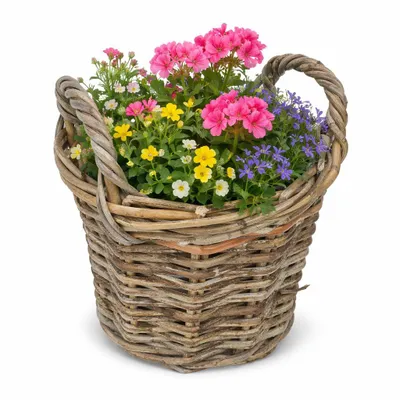 Produktbild von Weidenkorb mit Tragegriff Natur Used-Look mit Innenfolie Pflanzkorb Aufbewahrungskorb 20x28cm