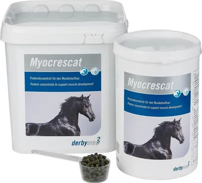 Produktbild von Derbymed Myocrescat 1,3 kg | für Pferde | optimaler Muskelaufbau
