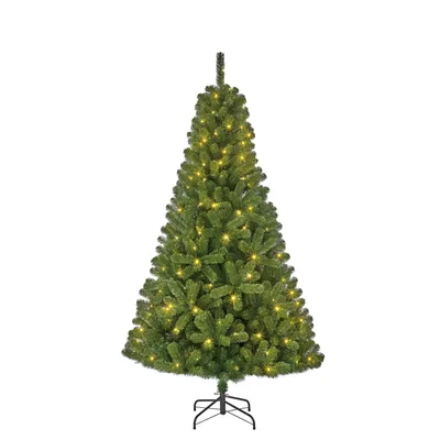 Produktbild von Black Box Trees Charlton Künstlicher Weihnachtsbaum mit LED-Beleuchtung - H215 cm - Grün