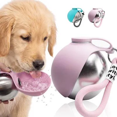 Hunde-Trinkflasche 285 ml, Edelstahl, faltbarer Silikonnapf, auslaufsicher