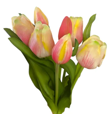 Produktbild von Künstlicher Tulpen-Bund 32cm "Soft-Touch" Kunstblume Tulpe Pink-Gelb