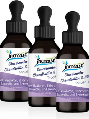 Produktbild von Nimm 3, zahl 2 Aktion Liposomale Glucosamin, Chondroitin & MSM Tropfen hochdosiert - 1525mg pro Tag (137.250mg in 3 Flaschen)
