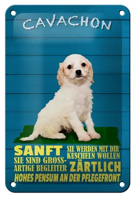 Produktbild von Blechschild Spruch 12x18cm Cavachon Hund sanft zärtlich