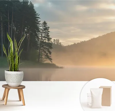 Produktbild von Fototapete selbstklebend - 208x146 cm - Tapete - Wandtapete - Wandbilder - Klebefolie - Dekofolie - Tapete Folie - Wand - Dekoration - Wohnzimmer - Nebliger Morgen