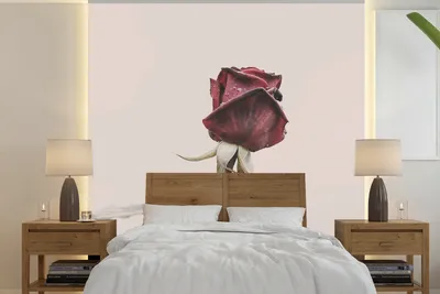 Produktbild von MuchoWow® Fototapete für Wohnzimmer oder Schlafzimmer Wandtapete Vinyl Motivtapete Blumen - Rot - Rosen - Grün - 300x300 cm - Wanddekoration