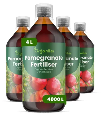Produktbild von Granatapfel Flüssigdünger 4x1L – 2-1-8 NPK – Flüssig-Pflanzendünger für Granatapfel – Für Garten, Terrasse & Kübelpflanzen – Organifer