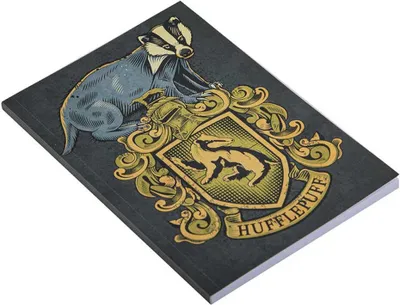 Produktbild von Cinereplicas Hufflepuff Harry Pottera 5 Notizbuch Grün  Grün One Size