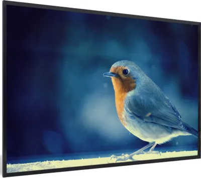Produktbild von MuchoWow® MuchoWow® Gerahmtes Poster Rotkehlchen - Blau - Schnee 60x40 cm - Poster mit zchwarzem Bilderrahmen - Printing - Wanddeko Schlafzimmer