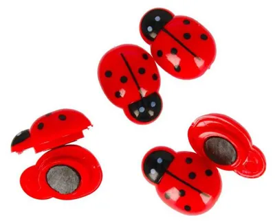 Image de Aimant coccinelle, 6 pièces