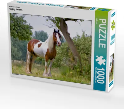 Produktbild von Calvendo Ein Motiv aus dem Kalender Gypsy Horses 1000 Teile Puzzle quer 640x480mm, CALVENDO; 7307371