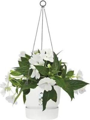 Image de Pot de Fleurs Suspendu Elho Greenville, Ø 23,9 x H 20,3 cm, 6,4 L, Blanc, Plastique Recyclé, Résistant au Gel
